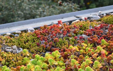 the cost of Newcott green roof installation