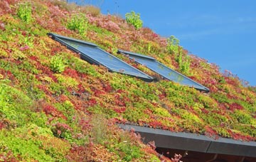 Newcott living roof systems