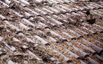 Newcott roof cleaning companies