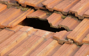 roof repair Newcott, Devon