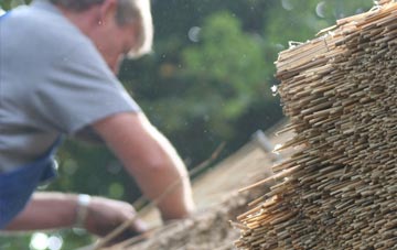 professional Newcott thatchers