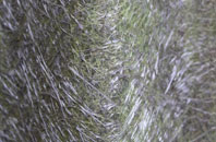 Newcott fibreglass roof work