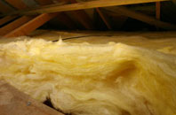 Newcott pitch roof insulation